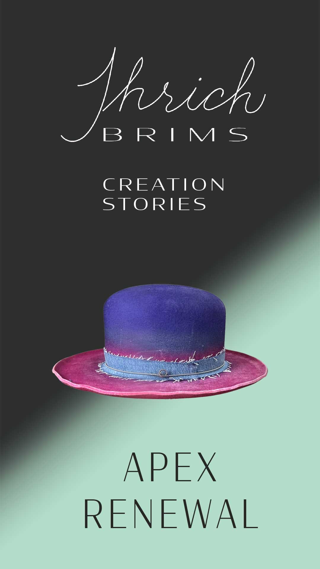 Watch the Creation Story