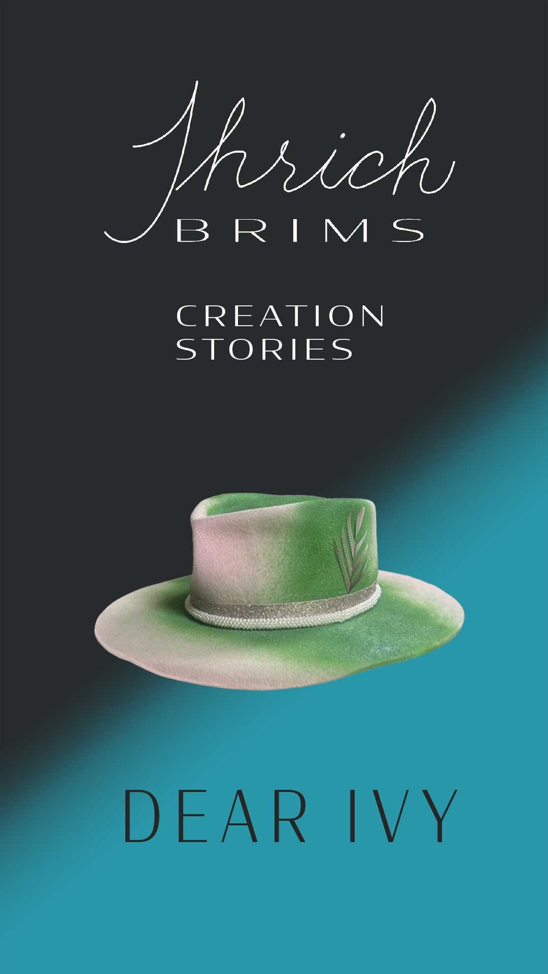Watch the Creation Story