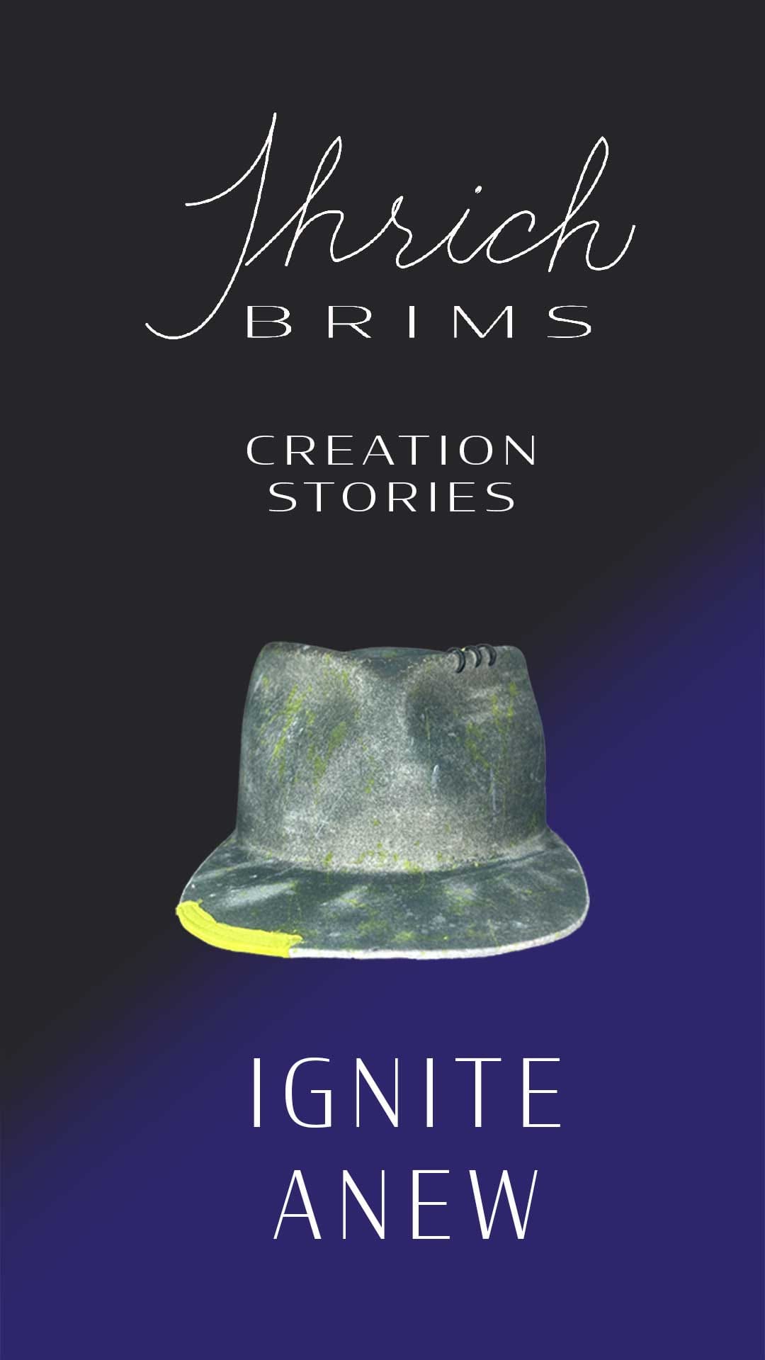 Watch the Creation Story