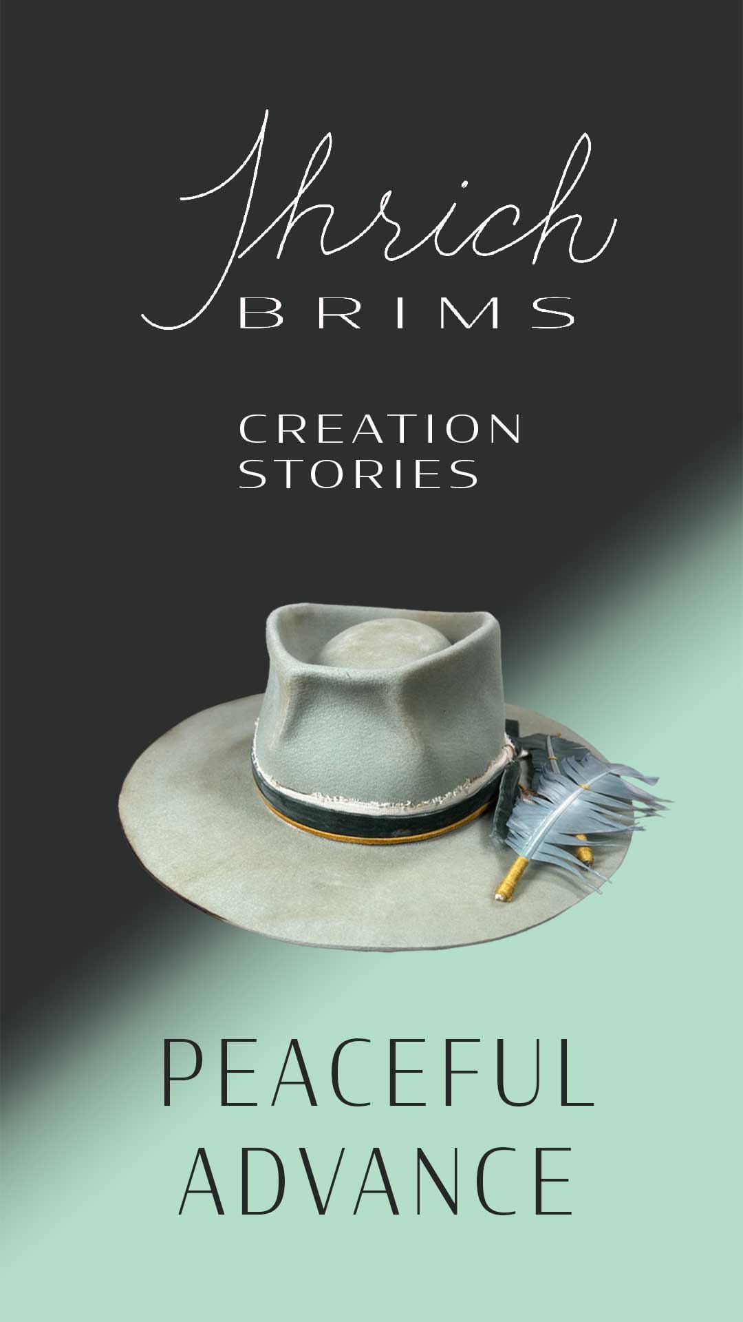 Watch the Creation Story