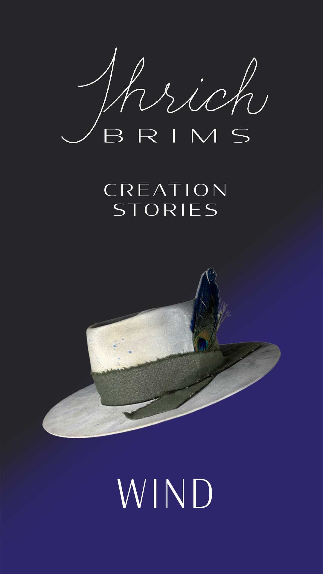 Watch the Creation Story